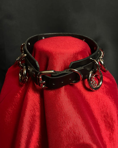 Black leather collar with metal rings on a red cushion against a dark background