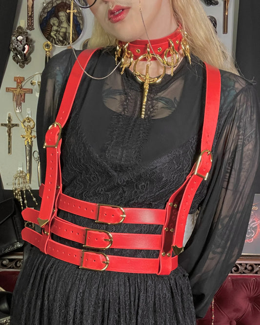 Person wearing a black dress with red leather harness and gold accessories in a decorative setting.