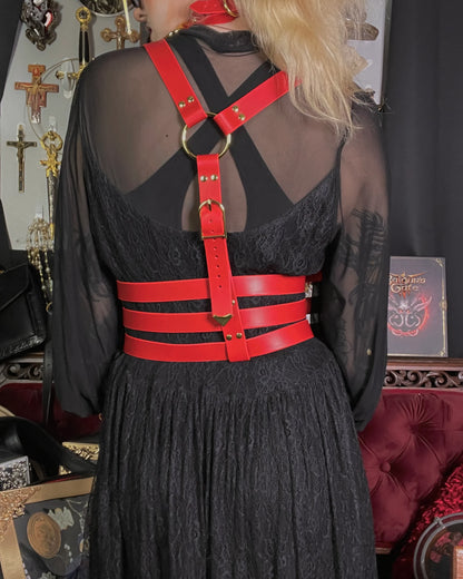 Person wearing a black dress with a red harness in a decorative setting